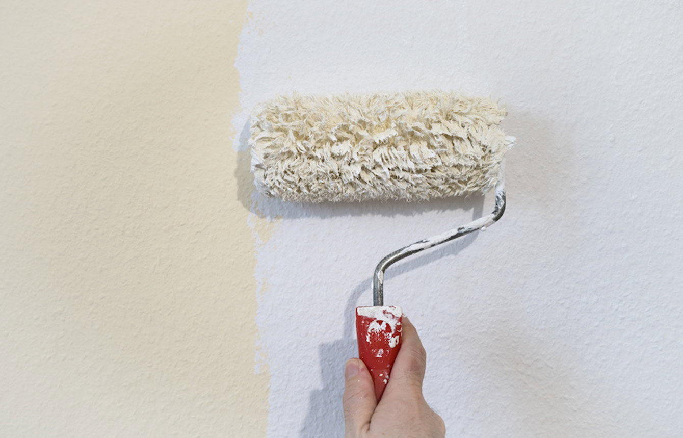 Dove e come si usa l'idropittura
